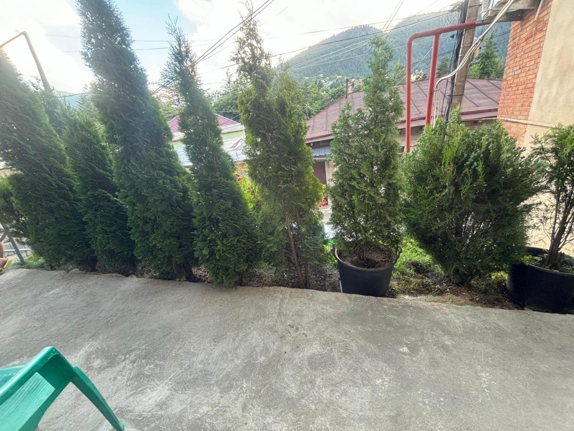 Guesthouse Saba Borjomi Exterior foto